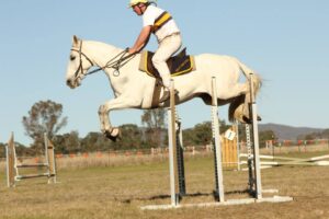 aug 2013 2 aug 2013 2